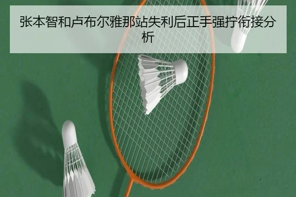 张本智和卢布尔雅那站失利后正手强拧衔接分析